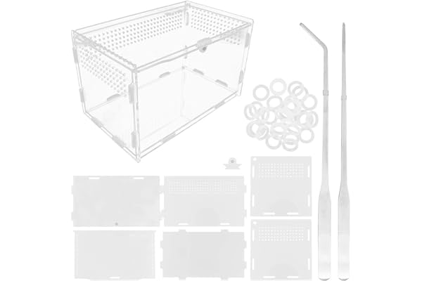 Boîte d'alimentation en Acrylique pour Reptiles 20 x 12 x 12 cm Terrarium en Verre Transparent - 2 Pinces Droites et incurvées pour Animaux domestiques - pour Insectes, araignées,crabes, lézard