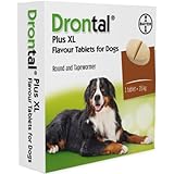 drontal dog tasty bone amazon