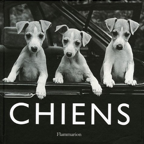 couverture de : Chiens
