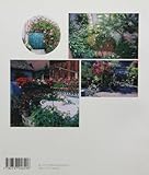 Image de petits jardins et patios