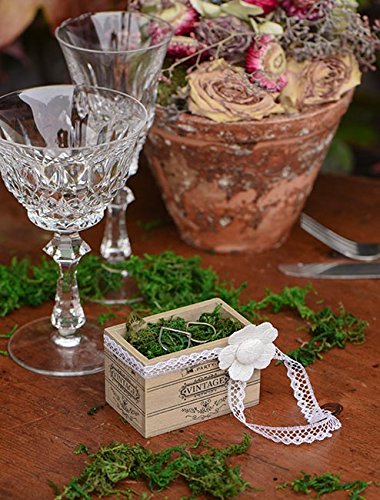 Spitzenband, 9 mm breit, 5 m lang, weiß - 2