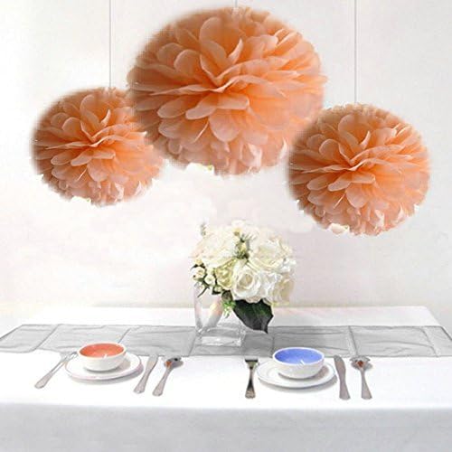 Saitec Â® Pack of 12ps Mixed Sizes Peach Color Tissue Paper Pom Poms Fower Balls Wedding Birthday Party Decoration Festive Supplies by Saitec