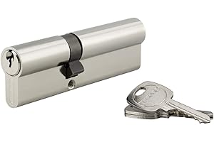 Cylindre de Serrure Profilé STD 40x60mm - Système de Sécurité Double Entrée Laiton Finition Nickel - Usage Porte d'Entrée - Fabriqué en France - Livré avec 3 Clés Crantées - THIRARD