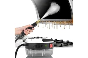 BAUSATZ Steam Cleaner for Home Use Handheld Steamer for Car Detailing Portable Steamer for Cleaning Hand Held Steamer 2500W (British Regulations)