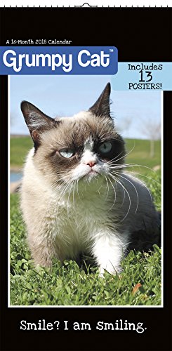 Preisvergleich Produktbild Grumpy Cat 2018 Poster Calendar