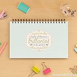 Mr. Wonderful WOA08522 - Organizador