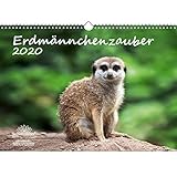 Erdmännchenzauber DIN A3 Kalender 2020 Erdmännchen - Seelenzauber by 