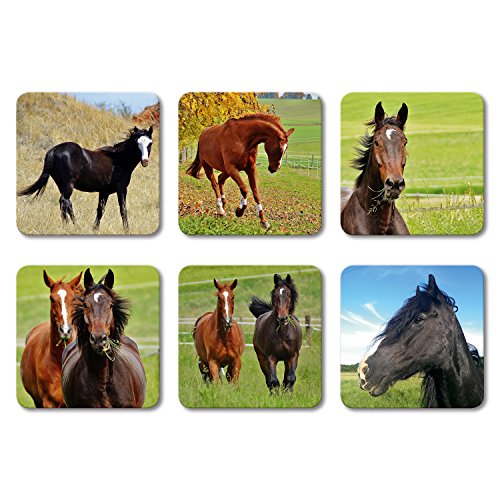 Addies Glas-Untersetzer 6-tlg.Set bedruckt Motiv „Pferde“ Komplett-Set in hochwertiger Klarsicht-Geschenkbox und Korkrückseite, Tier-Motiv - 2