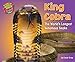 Produktbild King Cobra: The World's Longest Venomous Snake (Even More Supersized!)
