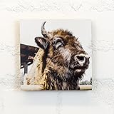 Holzbild 15x15 cm, Motiv: Flauschig - Tiere, Büffel, Fell, flauschig - Holz, Wandbild, Wohndekoration, Geschenk