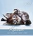 Katzen 2015 - Cats - Postkartenkalender (15 x 16) by 