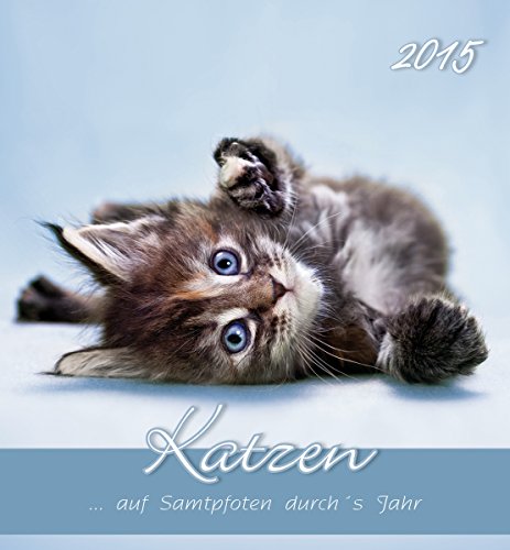 Katzen 2015 - Cats - Postkartenkalender (15 x 16)