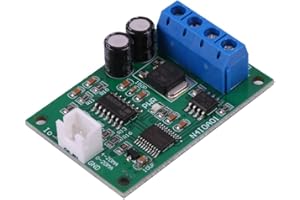 DONGKER Modulo corrente da RS485 a DAC, DC 12V 24V Convertitore da RS485 a 4-20mA Controllo comando MODBUS RTU