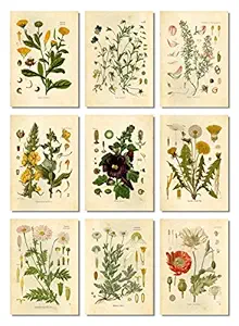 Ink Inc Botanical Prints Floral Wildflowers Wall Art Prints - Set of 9-5x7 - Matte - Unframed