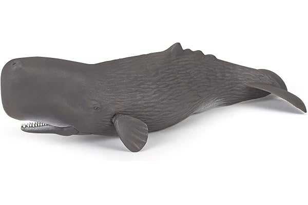 Papo - Figurine Cachalot Réaliste - 3 Ans + - Collection Univers Marin - Jeu Éducatif Cétacés Marins - Idée Cadeau Jouet Fille Garçon - 26 Cm X 8.2 Cm X 7.3 Cm