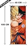 CoolChange Großes Dragon Ball Rollbild / Kakemono aus Stoff Poster, 100x40cm