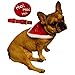 Produktbild Lively Moments Weihnachtshalstuch für Hunde / Hundehalsband mit Tuch / Dreieckstuch / Weihnachtskostüm für Hund und Katze