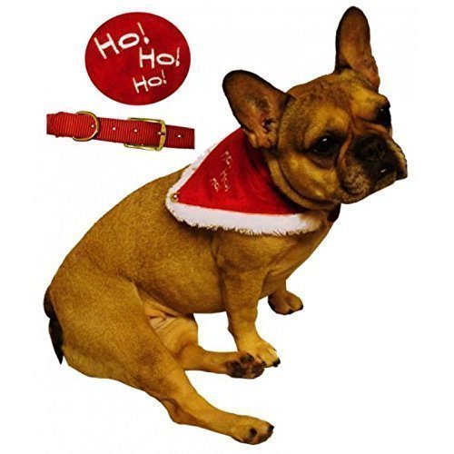 Preisvergleich Produktbild Lively Moments Weihnachtshalstuch für Hunde / Hundehalsband mit Tuch / Dreieckstuch / Weihnachtskostüm für Hund und Katze