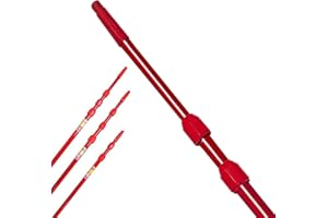 WEIPAI MASS S.R.L. 614E Asta telescopica 6 metri, Alluminio