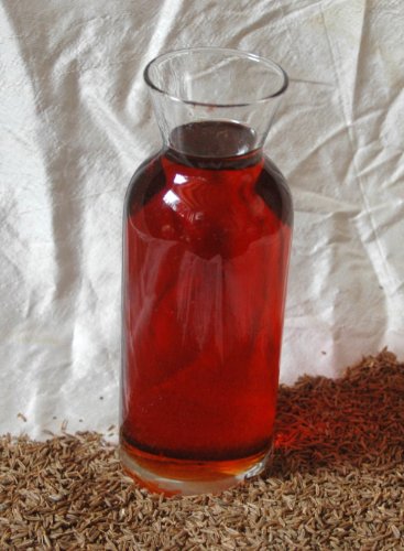 Preisvergleich Produktbild Naturix24 - Kümmelöl ätherisch 10 ml