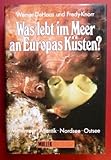 Image de Was lebt im Meer an Europas Küsten? Mittelmeer, Atlantik, Nordsee, Ostsee