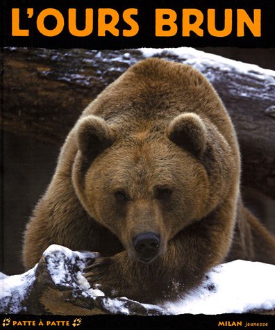 couverture de : L'Ours brun