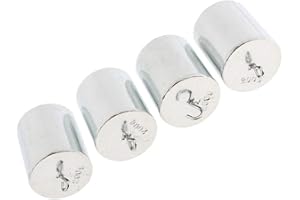 SM SUNNIMIX 4 Gewicht Set Gewichte glänzend Oberfläche, verchromt Slotted Iron Weights für Physik Labor und Lehre