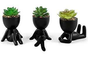 Laelfe 3 Pcs Plantas Suculentas Artificiales en Maceta, Plantas Artificiales Decorativas Pequeñas Suculentas Artificiales Decoración para Hogar Oficina Mesa Escritorio Sala de Estar