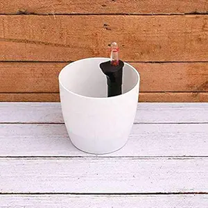 Creative Farmer Pot Ronda 1412 - White (with Self Watering Kit) {Pack of 2} (Pots for Indoor Plants- Garden Balcony & Patios Office Our Unique Colourful Easy to Carry Long Lasting Planters)