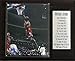 Price comparison product image C & I Collectables NBA Michael Jordan Chicago Bulls Stat Plaque