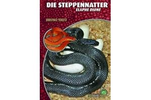 Die Steppennatter: Elaphe dione (Buchreihe Art für Art Terraristik)