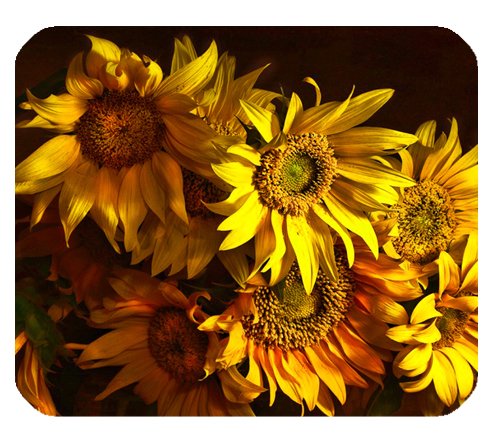 Preisvergleich Produktbild Snow Mountain Lake Blume Custom Rechteck Gummi Mauspad Gaming Mauspad