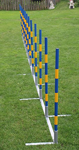 Introductory-offer-dog-agility-weave-poles-12X60cm-straight-weaves-for-training-and-kennel-club-competition