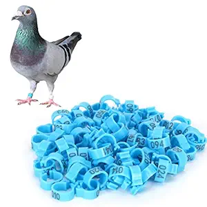 Cairhuir Bird Leg Bands, Poultry Leg Rings and Light Weight Bird Foot Clip for Outdoor for Homing Pigeons(Blue)