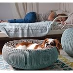 CURVER-COZY-CUCCIA-APERTA-54x54x19h