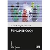 Fenomenoloji