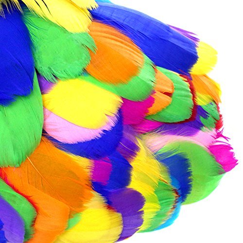 Coceca 300 Stück Bunte Federn - 2