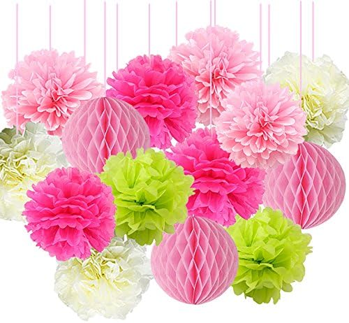 14pcs Pink Party Decarations Pom Poms Tissue Paper Flowers Mixed Paper Honeycomb Balls Party Favor for Birthday Party Baby Shower Bridal Shower Wedding Party Supplies