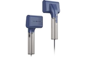 Nesugar G10 - Piastra a vapore portatile 2 in 1 e vapore, tempo di riscaldamento 0,9 lbs, 1200 W, mini ferro a vapore leggero per viaggi e casa