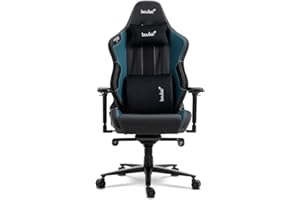 boulies Ninja Pro Gaming Chair, Racing Style Video Game Chair with 4D Armrests, Ergonomic PC Computer Chair with Adjustable Head and Lumbar Pillows, Recliner Chair for Adults (Teal)