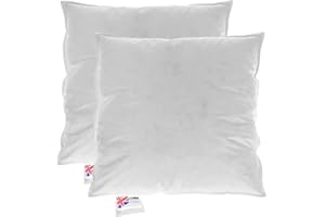 ‎HOMESCAPES Homescapes Füllkissen 30x30 cm – 2er-Set Federkissen mit Daunen & Baumwollbezug, Kissenfüllung/Innenkissen für Dekokissen wie Sofakissen & Bettkissen oder kleine Kopfkissen