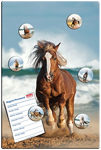 Magnettafel Pferd am Meer - Faszinierende Design Metall Magnettafel 60x40 cm - Pinnwand Memoboard mit Motiv: Pferd am Meer Ocean Horse - inkl. 6 Magnete Pferde am Meer Ocean Horses für Magnetwand - Original Magnetpinnwand GUMA Magneticum