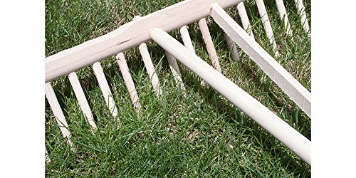 Traditioneller Vollholz-Rechen ‚Holzer‘- Handwerksqualität aus Österreich B52cm-15 Z inken - 5