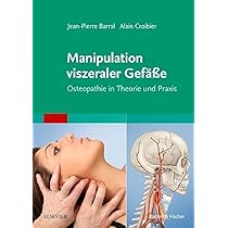 Manipulation viszeraler Gefäße: Osteopathie in Theorie und Praxis