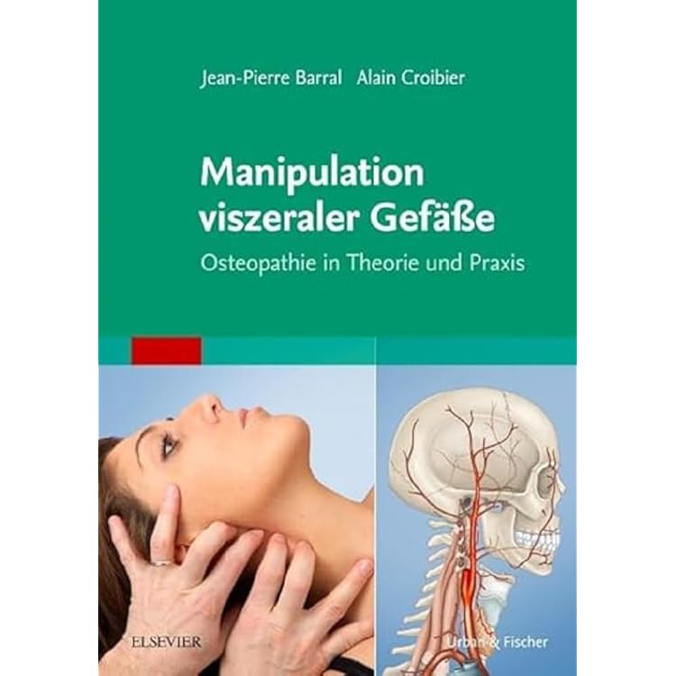 健康・医学 Fortgeschrittene viszerale Osteopathie Fortgeschrittene viszerale Osteopathie : Barral, Jean-Pierre