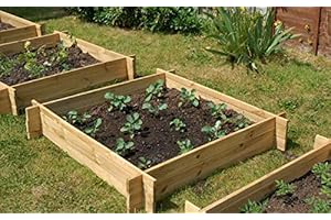 Lacewing 248 Litres - The Chamberlain Rectangular Wooden Raised Grow Bed 155cm x 80cm (H20cm)