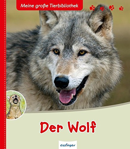 Preisvergleich Produktbild Der Wolf (Meine große Tierbibliothek)