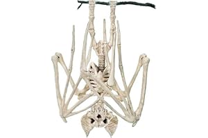 REOVE 1 x Skräcklig halloween fladdermus skelett simulering fladdermus skelett verklighetstroget fladdermus ben halloween rek