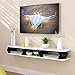 Produktbild Lagerregal ZHIRONG Wandmontage Set Top Box Router Rack 2-Schicht Wohnzimmer Styling Frame Wanddekoration (Farbe : B, größe : 130 * 15cm)
