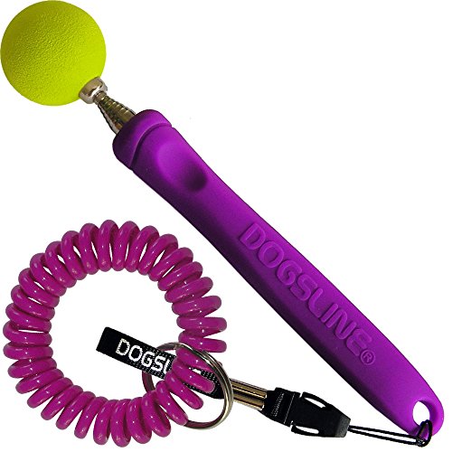 DOGSLINE-Target-Stick-with-spiral-wrist-coil-Training-for-dog-cat-horse-stainless-steel-17-73cm